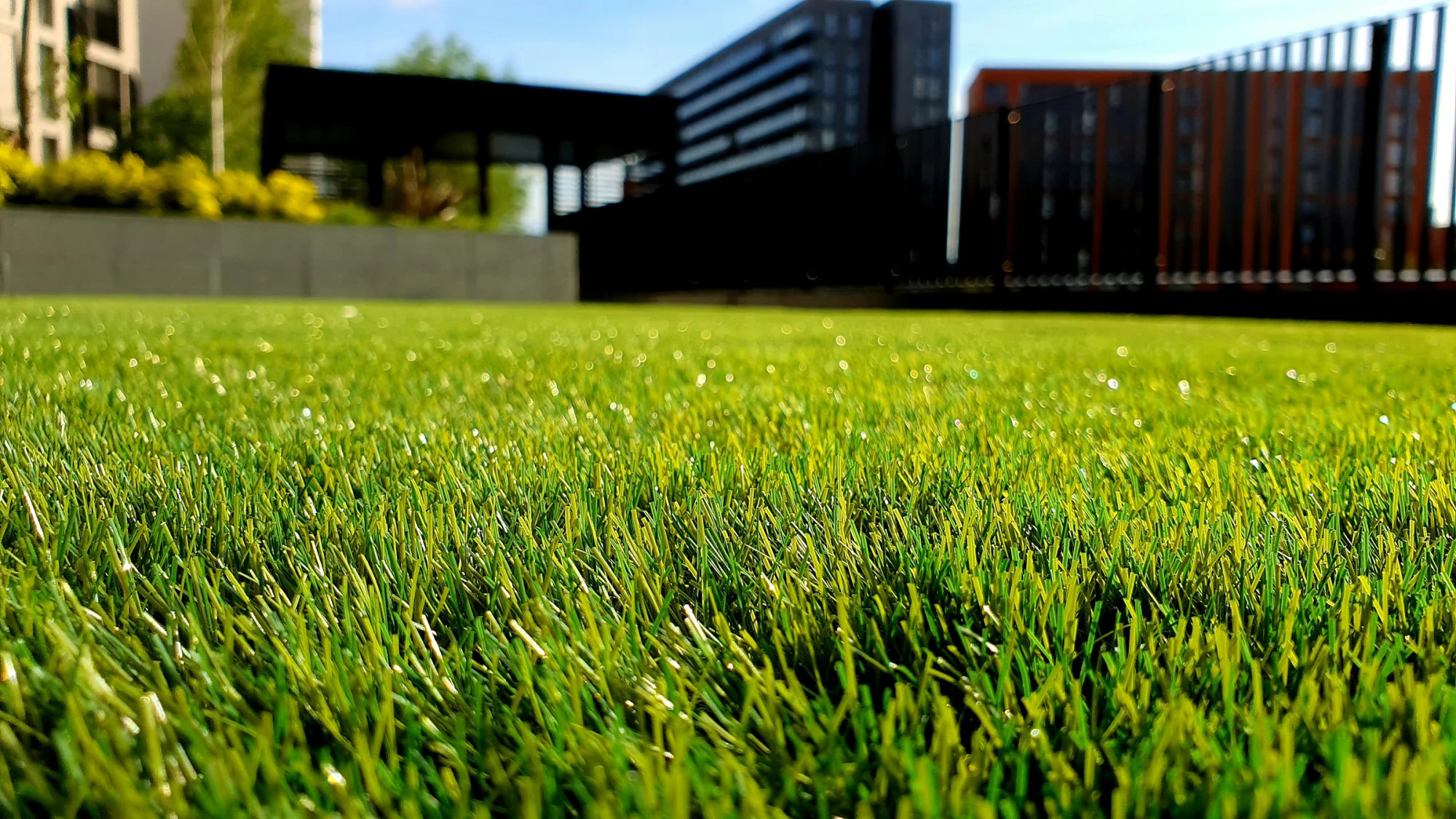 Gepflegter Garten mit Rasenfläche