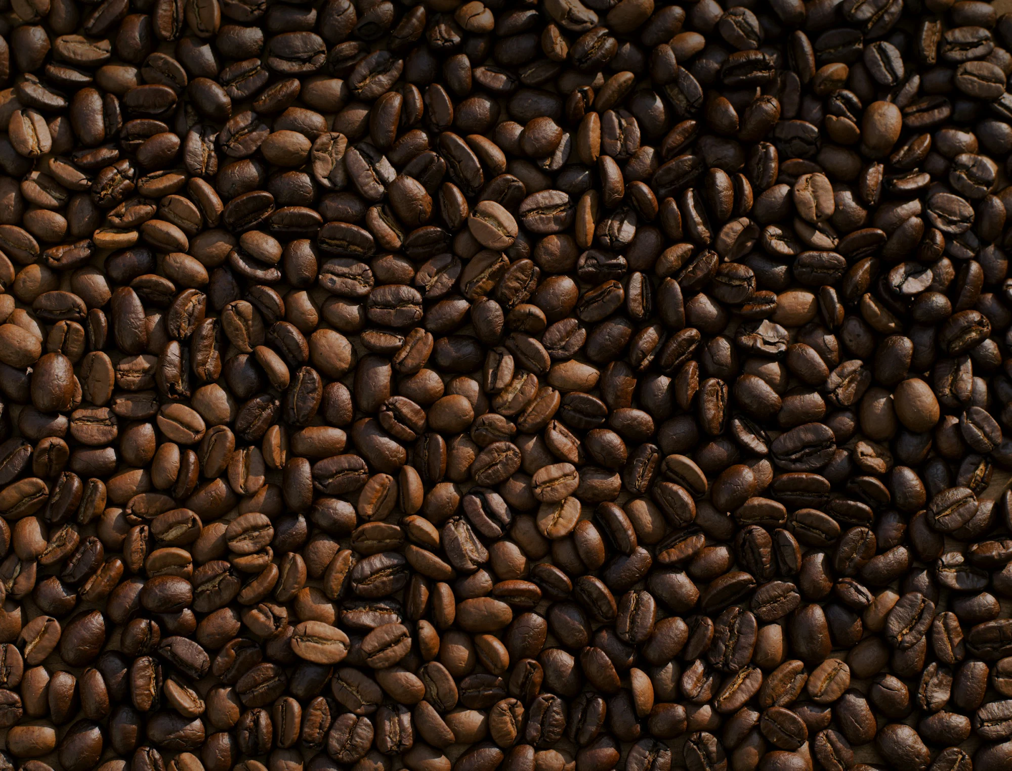 Geröstete Kaffeebohnen